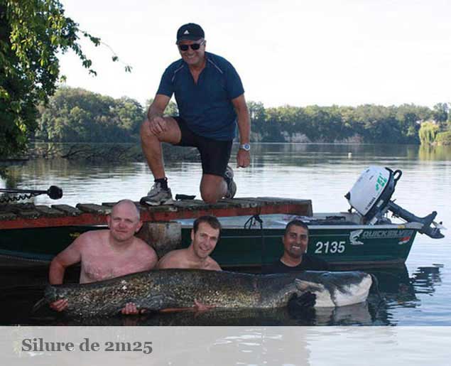 photo trophé peche silure de 2 metres 24 