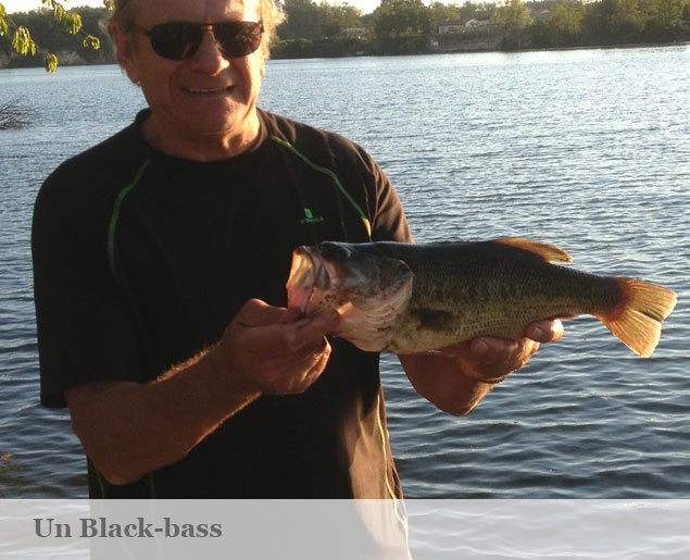 photo peche blackbass