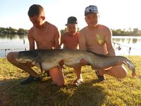 Photo de pêche silure au gite des carpites