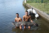 Photo pêcheurs silure au gite de pêche les carpistes dans le tarn