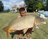 Photo carpe du tarn pêchée au gîte les carpistes