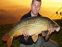 photo de pêche carpe commune sur tarn 