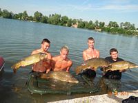 photo tableau de peche de carpes du tarn 